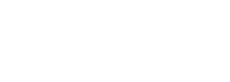 _11_UAL_logo_white