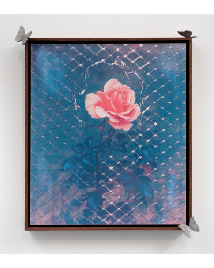 Contemporary Painting by Constanza Pulit in London